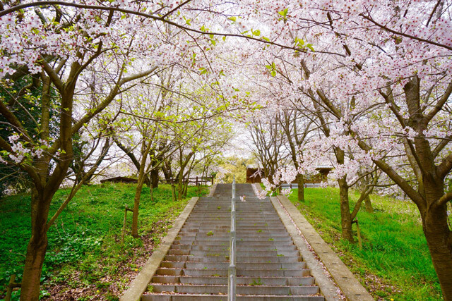 入学式・卒業式